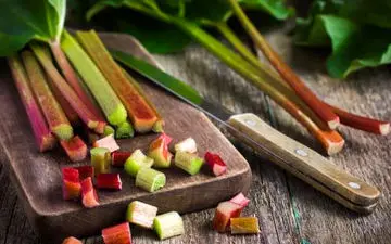 فواید ریواس از منظر طب سنتی