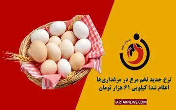 قیمت تخم‌مرغ امروز ۲۷ خرداد ۱۴۰۴ | نرخ‌های جدید بازار + جدول

