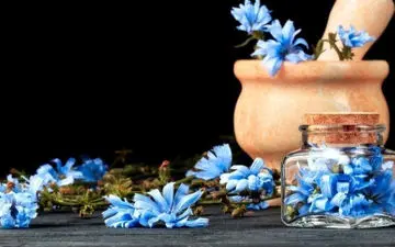 اشکال دارویی کاسنی