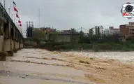فیلم| سیلابی شدن و بالا آمدن آب رودخانه تجن