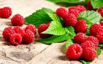 پادشاه میوه‌ها برای اندام ایده‌آل و ذهن نابغه!