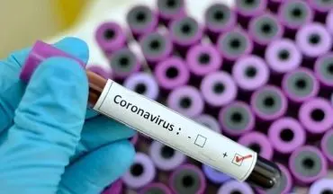 کنگو و مراکش اولین موارد ابتلا به کروناویروس را تأیید کردند

