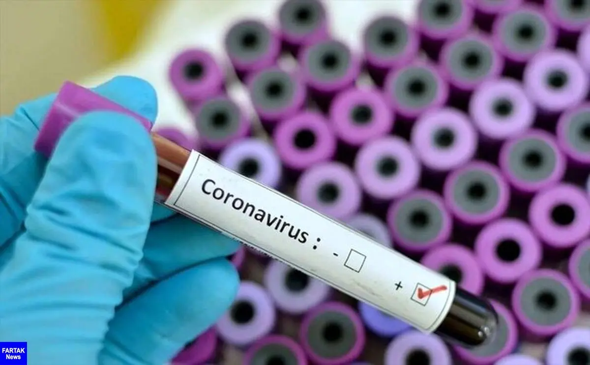 کنگو و مراکش اولین موارد ابتلا به کروناویروس را تأیید کردند
