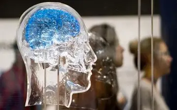 مراقبت باشید، هوای گرم باعث آسیب به مغز و افزایش جرم و جنایت می‌شود