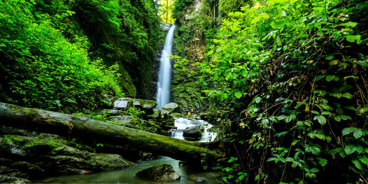 زیبایی خیره کننده این آبشار در شهر زیبای سواد کوه|آبشار گزو کجاست؟