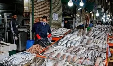 اعلام قیمت انواع ماهی در بازار تهران