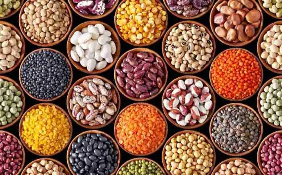 قیمت روز حبوبات ۳۱ شهریور ۱۴۰۴؛ نرخهای جدید را اینجا ببینید!