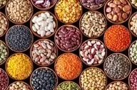 قیمت روز حبوبات ۳۱ شهریور ۱۴۰۴؛ نرخ‌های جدید را اینجا ببینید!