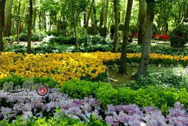  باغ ایرانی