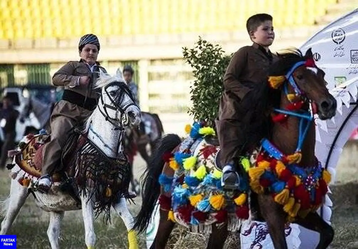 اعلام زمان برگزاری جشنواره بین‌المللی اسب کُرد در کرمانشاه