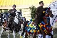 اعلام زمان برگزاری جشنواره بین‌المللی اسب کُرد در کرمانشاه