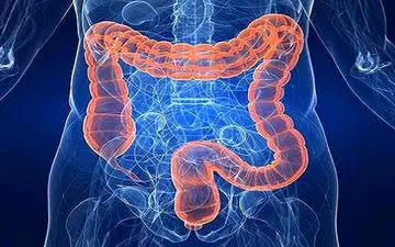 
اینفوگرافیک| تشخیص زودهنگام سرطان روده با پنج علامت