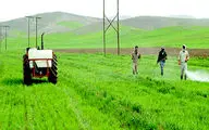 حساب ۲۳درصد از کشاورزان شارژ شد 