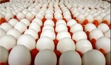  آخرین وضعیت قیمت تخم‌مرغ در بازار