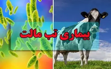  ابتلای ۱۸۰۰۰ نفر به تب مالت/بیماری افزایش چشمگیری نداشته است