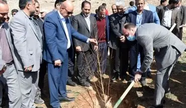 کاشت ۲۰۰ اصله درخت‌جنگلی در مجتمع بیمارستانی امام‌‌ رضا(ع) 



 