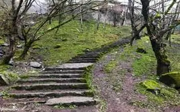 التماس های یک دختر به مرد وحشی پشت شمشادهای پارک جنگلی