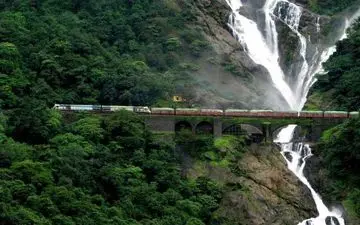 جلوه ای از طبیعت باشکوه هند