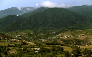 آغوش دریاچه برای جنگل باز است + تصاویر