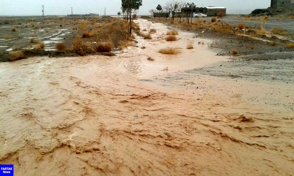 بارندگی در خراسان جنوبی موجب آبگرفتگی معابر شد