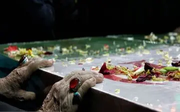 شهادت امیر دریابان شمخانی و سردار پاکپور