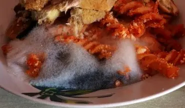 اگر این 4 نشانه را در غذایتان دیدید، فوراً آن را دور بریزید! (علامت‌های خطر خاموش)