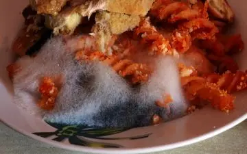 اگر این 4 نشانه را در غذایتان دیدید، فوراً آن را دور بریزید! (علامت‌های خطر خاموش)