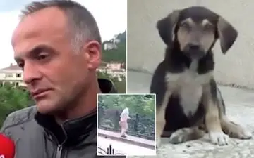 رفتار غیرانسانی رفتگر با توله سگ در خیابان!