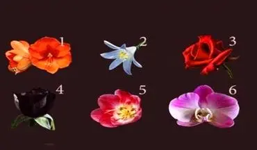 میخوای بدونی دارای چه احساساتی هستی؟ یک گل را انتخاب کن تا بهت بگم!