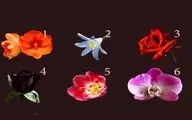یک گل را انتخاب کن تا بهت بگم احساسات چی بهت میگه!