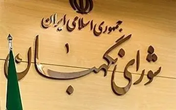 شورای نگهبان «طرح ضد اسرائیلی» مجلس را تایید کرد
