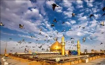  چند پرواز از چند فرودگاه، زائران اربعین را به عراق می‌برد؟