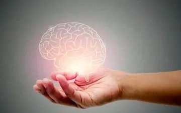 تقویت مغز با خوردن این میوه و سبزی ها