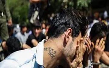 دستگیری ۲۴۰ اراذل در تهران / کشف ۳۳۳ هزار کتاب زاله