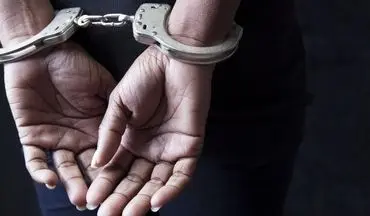 ماجرا دستگیری تبعه اروپایی در اغتشاشات بروجرد