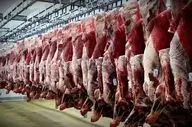 قیمت روز گوشت قرمز در ۲۱ مرداد ۱۴۰۴ | نرخ انواع گوشت گوسفندی و گوساله