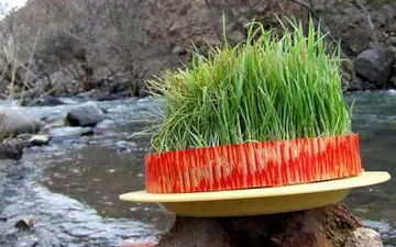 سیزده را کجا به در کنیم ؟