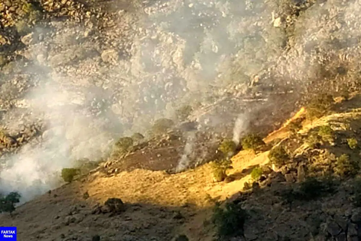 آتش در منطقه حفاظت شده بوزین و مرخیل پاوه همچنان شعله ور است