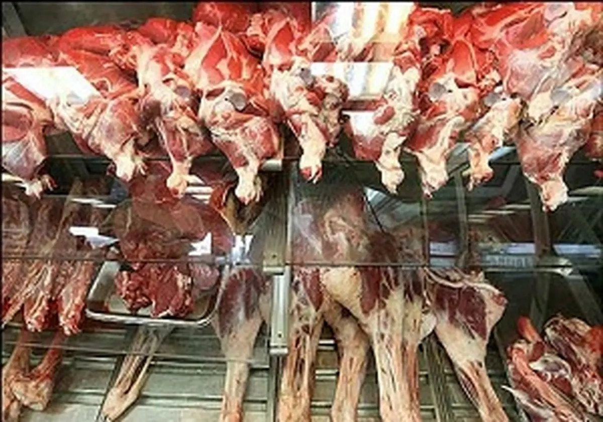 جدیدترین قیمت گوشت گوسفندی در بازار / راسته و گردن گوسفندی کیلویی چند شد؟ + جدول
