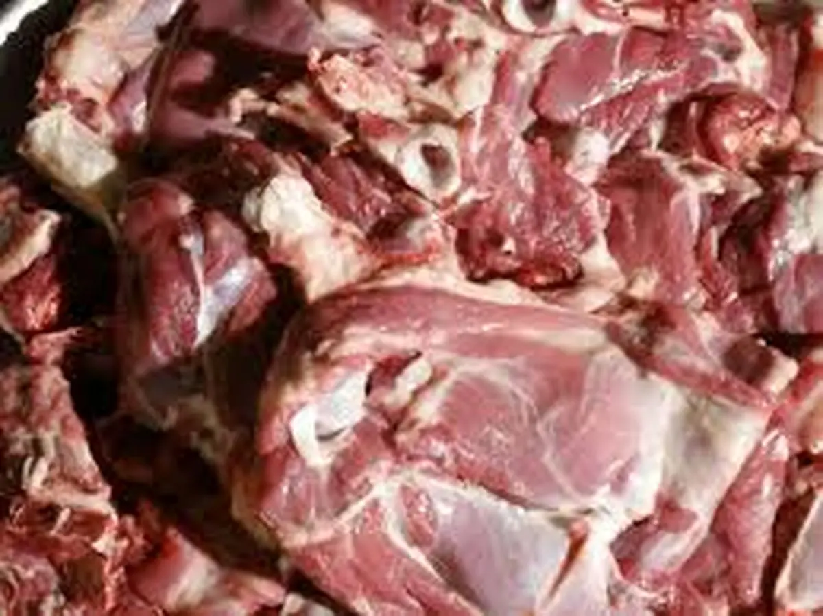 کشف گوشت فاسد در سرشناس ترین کبابی تجریش