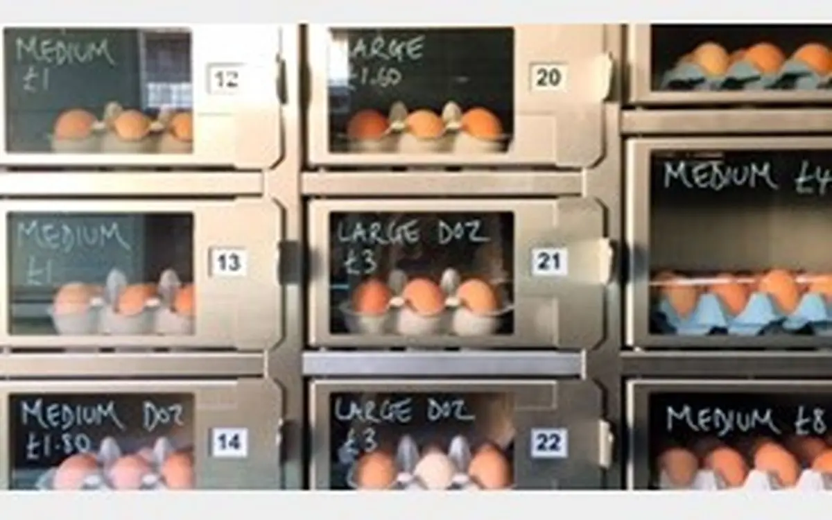 روشی جدید برای فروش تخم مرغ