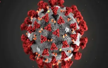 علائم بیماری کرونا پس از چند روز بروز می‌کند؟