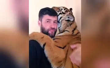 دوستی عجیب و باورنکردنی یک انسان با ببر + ویدئو