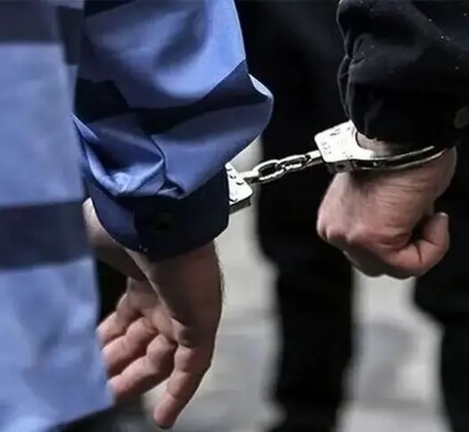 پایان ماجراجویی سارقان حرفه‌ای در غرب تهران