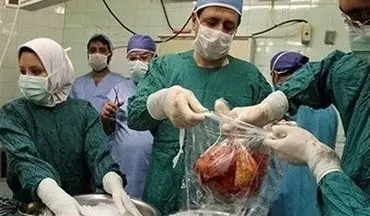 جراحی اهدای عضو از افراد دچار مرگ قلبی در این دانشگاه کشور انجام می شود