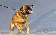 حمله خونین ۲ سگ به مأمور پلیس+ جزئیات