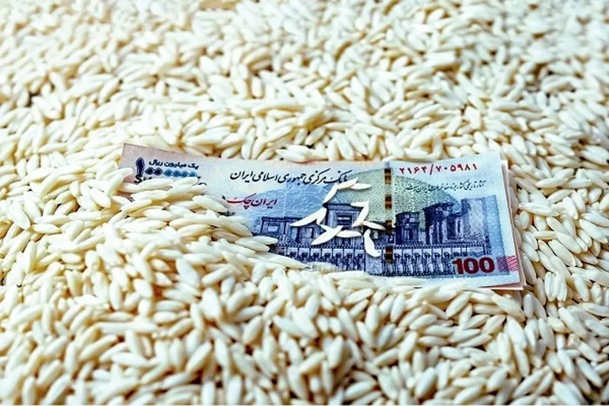 قیمت برنج پاکستانی ۱۹ مهر ۱۴۰۴؛ نرخ درجهیک اعلام شد + جدول