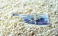 قیمت برنج پاکستانی ۱۹ مهر ۱۴۰۴؛ نرخ درجه‌یک اعلام شد + جدول