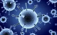 سویه آنفلوآنزای جدید؛ قدرت سرایت‌پذیری خطرناک‌تر از همیشه