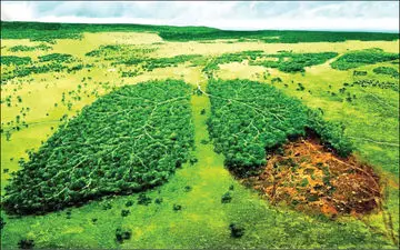  تغییرات اقلیمی چه تاثیراتی بر سلامت انسان دارد؟

